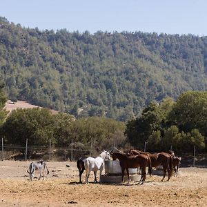 Demetriou Paradisos Hills Hotel